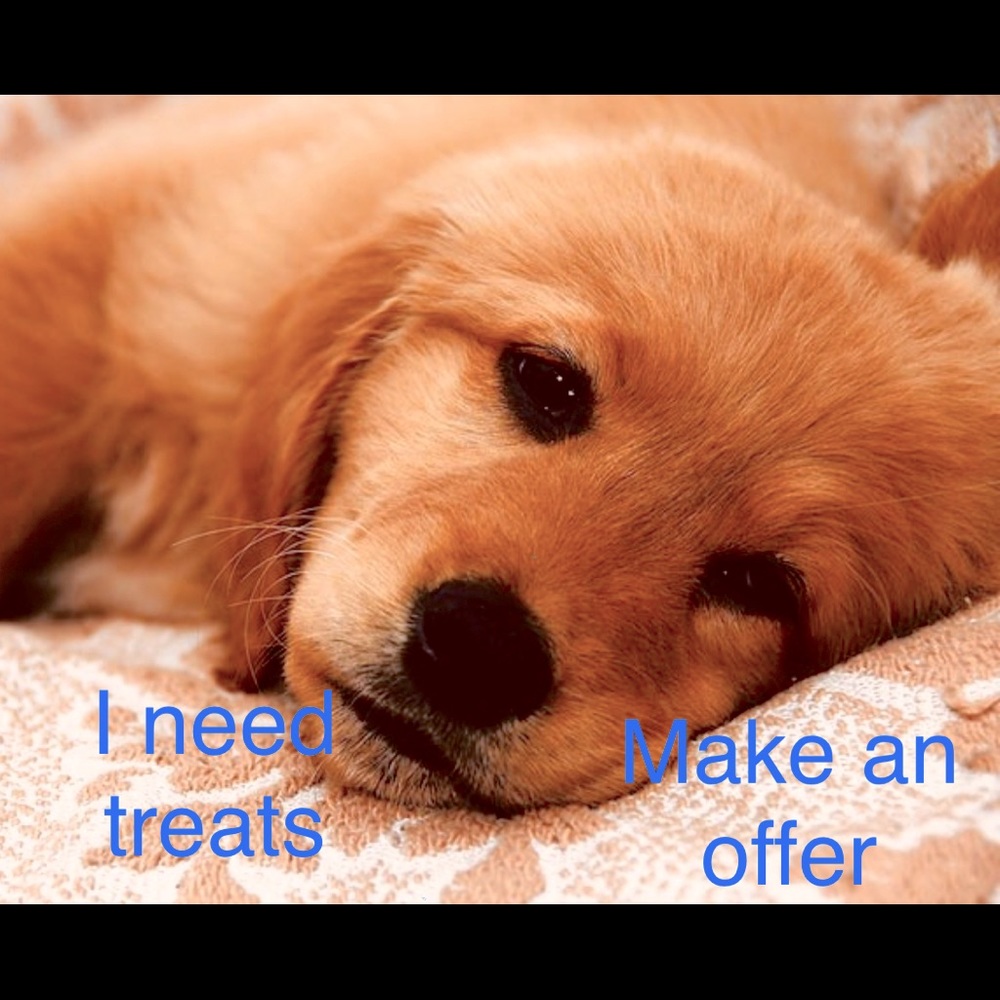 We love offers 🐻❤️🐻❤️🐻❤️🐻❤️☮️